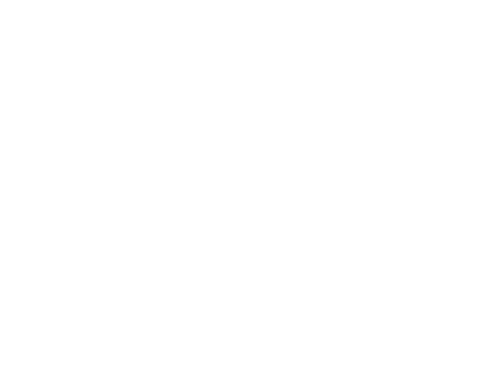 Surdisa logo